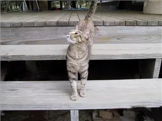 small_000505 trailIMG_4157.webp